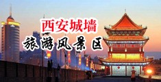 操逼啊啊啊啊啊啊啊视频中国陕西-西安城墙旅游风景区